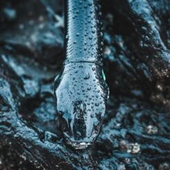 COMBO Leurres Souples Shad Texan ANCHO 120 50g Dos Noir/dos Blanc Pêche En Mer -Pêche Fournitures Magasin combo leurres souples shad texan ancho 120 50g dos noirdos blanc peche en mer 4