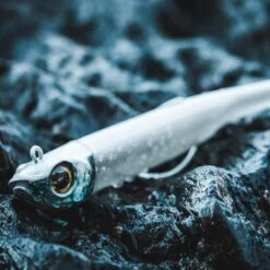 COMBO Leurres Souples Shad Texan ANCHO 120 50g Dos Noir/dos Blanc Pêche En Mer -Pêche Fournitures Magasin combo leurres souples shad texan ancho 120 50g dos noirdos blanc peche en mer 5