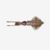 Savage Gear Leurre De Pêche En Mer 3D SWIM SQUID 12.5 CM CUTTLEFISH -Pêche Fournitures Magasin leurre de peche en mer 3d swim squid 125 cm cuttlefish